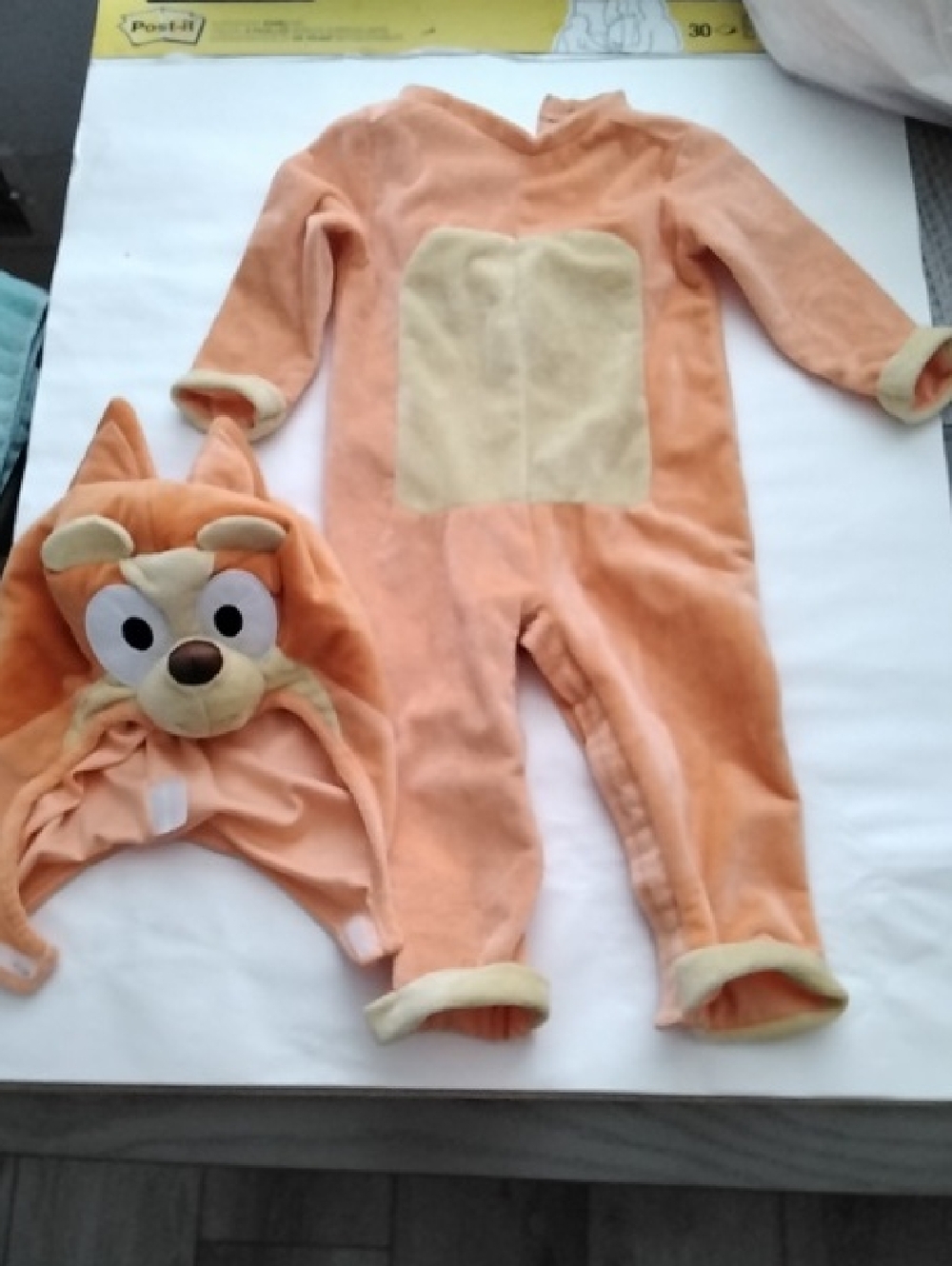 Bingo Costume
